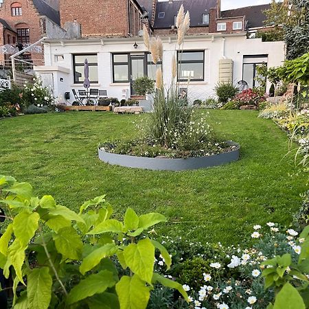 Le Petit Paradis Cassel Exteriör bild