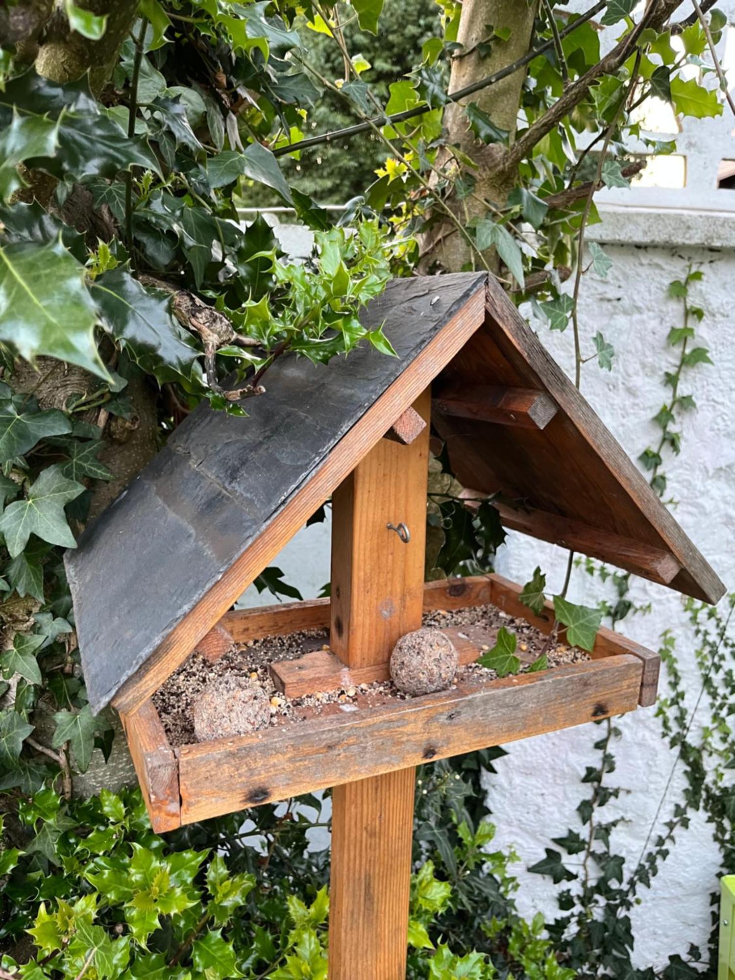 Le Petit Paradis Cassel Exteriör bild