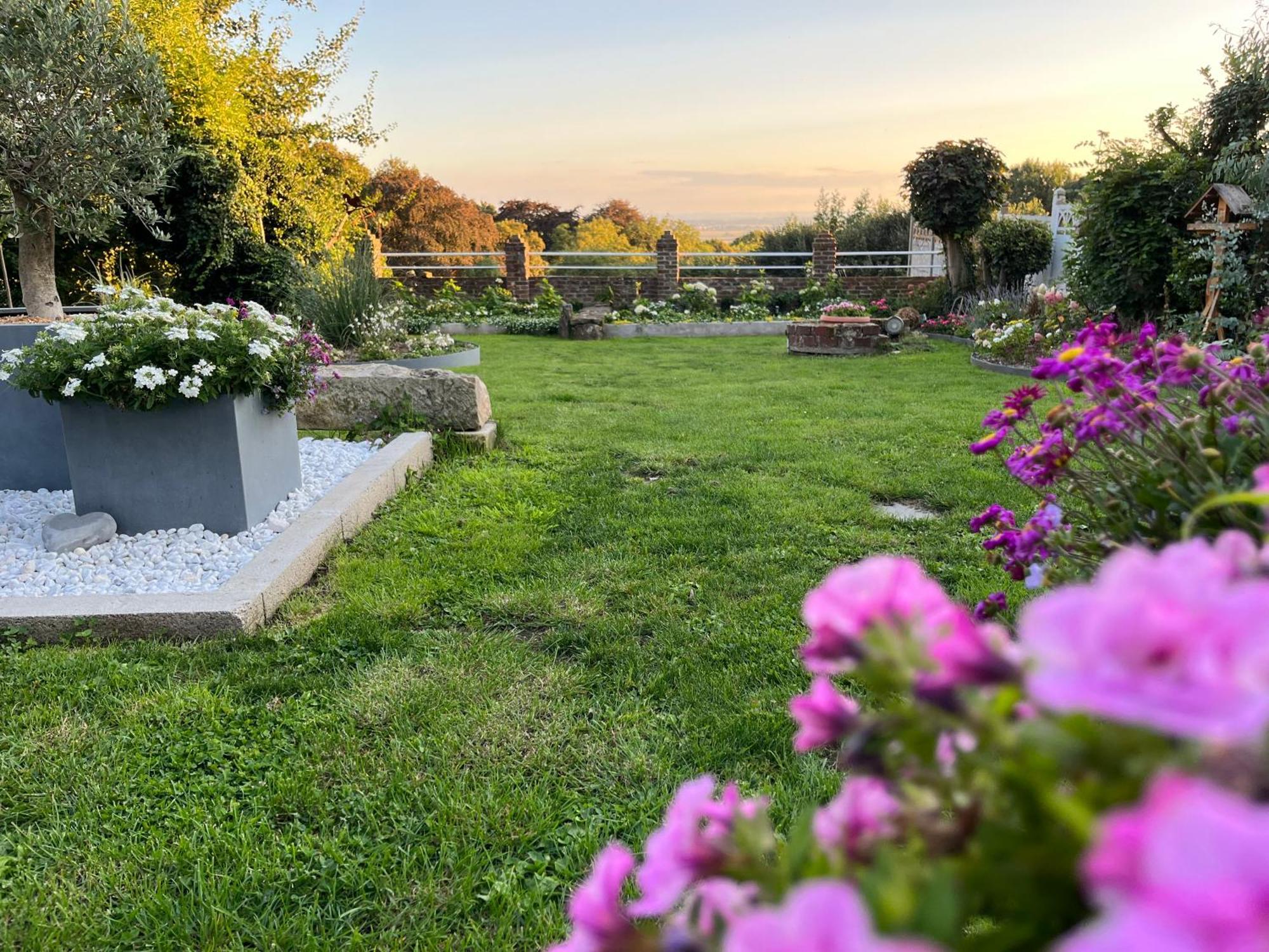 Le Petit Paradis Cassel Exteriör bild