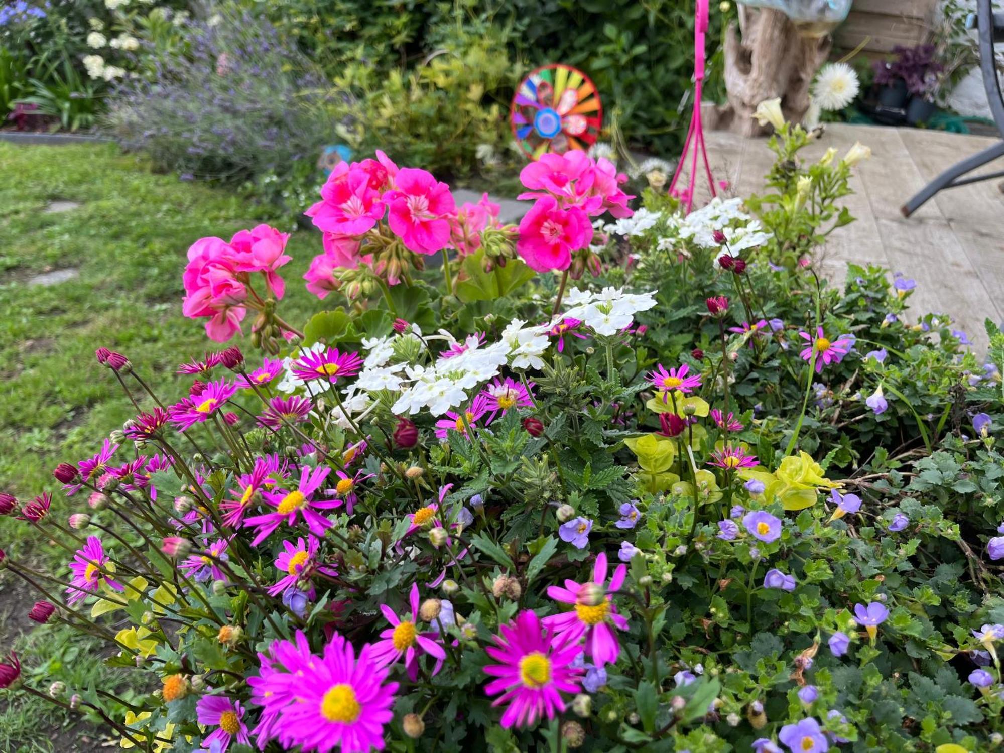 Le Petit Paradis Cassel Exteriör bild