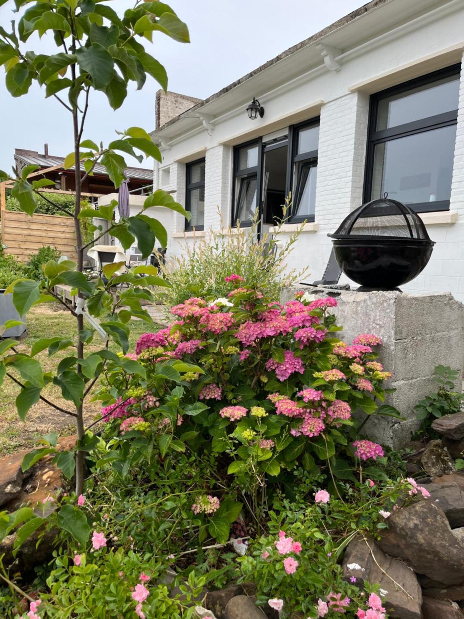 Le Petit Paradis Cassel Exteriör bild