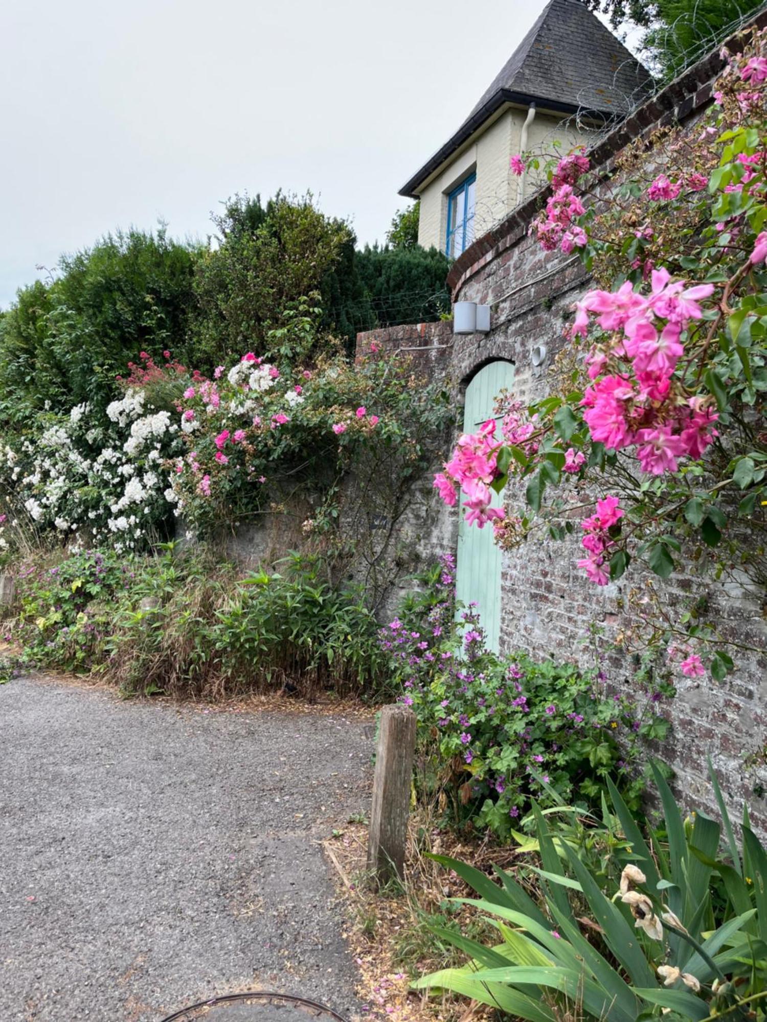 Le Petit Paradis Cassel Exteriör bild