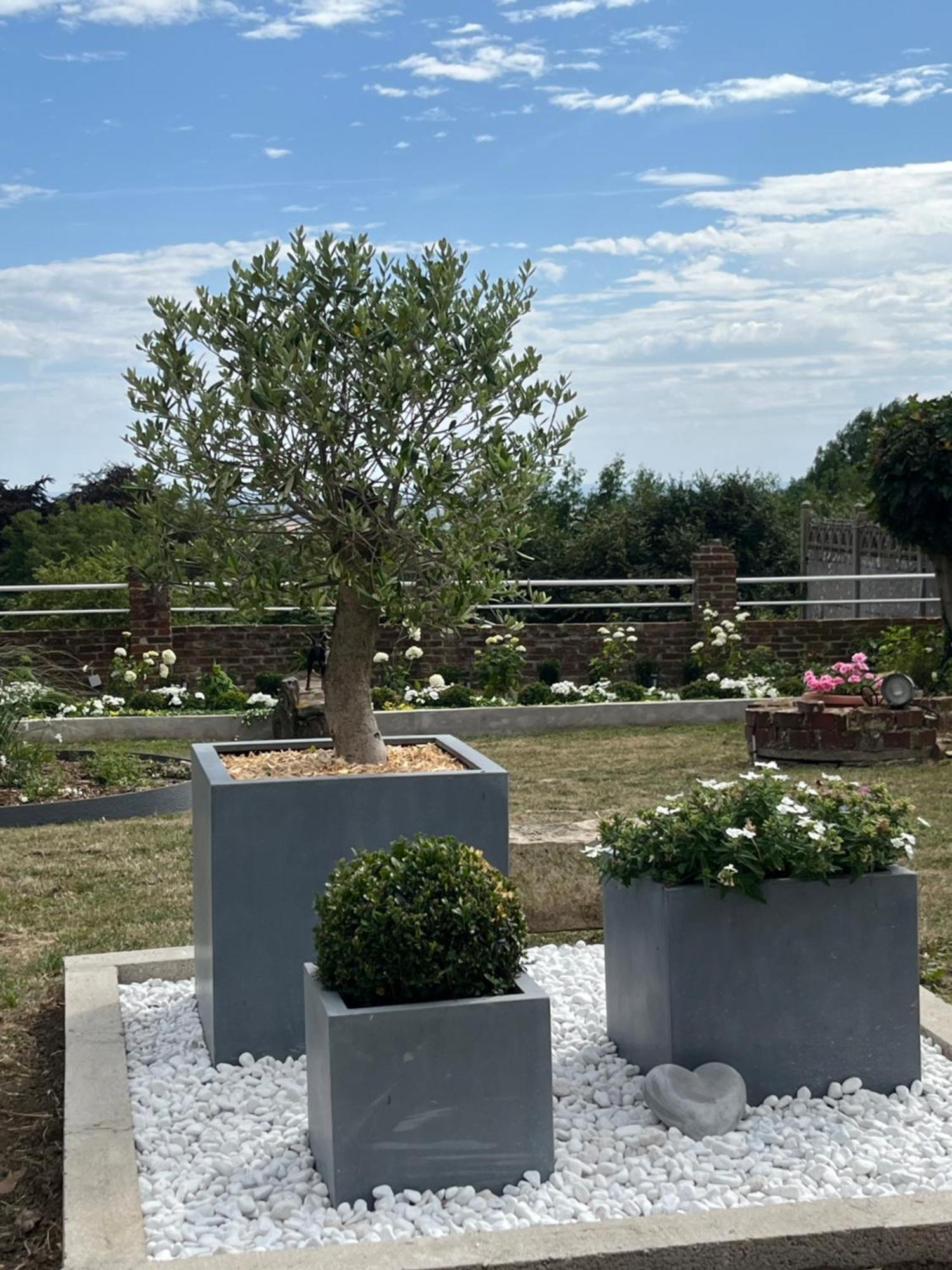 Le Petit Paradis Cassel Exteriör bild