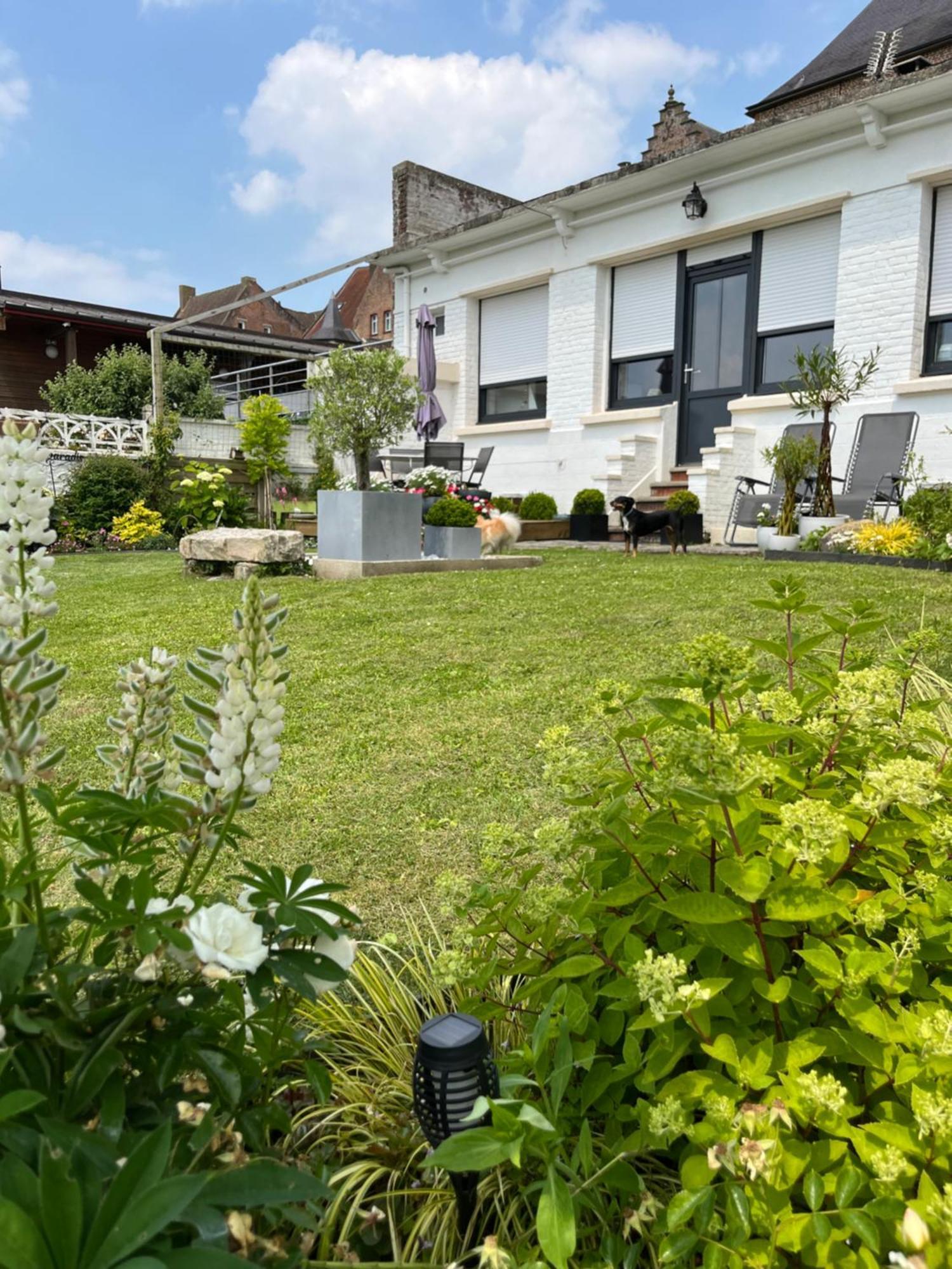 Le Petit Paradis Cassel Exteriör bild